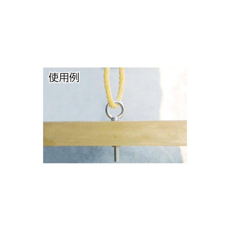 TRUSCO(トラスコ) ステンレスつば付きロングアイボルト鍛造製 M10 1個入 TLTF-10M