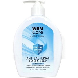 Care Hand Soap, Crafted with Love in Harmony with Nature, Effective Cleanser with Light & Fresh Scent, Liquid Hand Soap - 16.8 fl oz/Each (Pack 1)