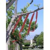 Bird B Gone Flash Tape Visual Bird Deterrent (50ft Roll)