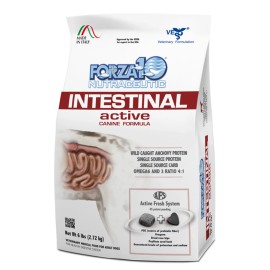 TD Forzato10 Active Turkey Flavor Dry Dog Food Intestinal Support Diet for Dogs Cats Pets Fish Pet Health Care Soft Chew PowderSize: 6-lb bag