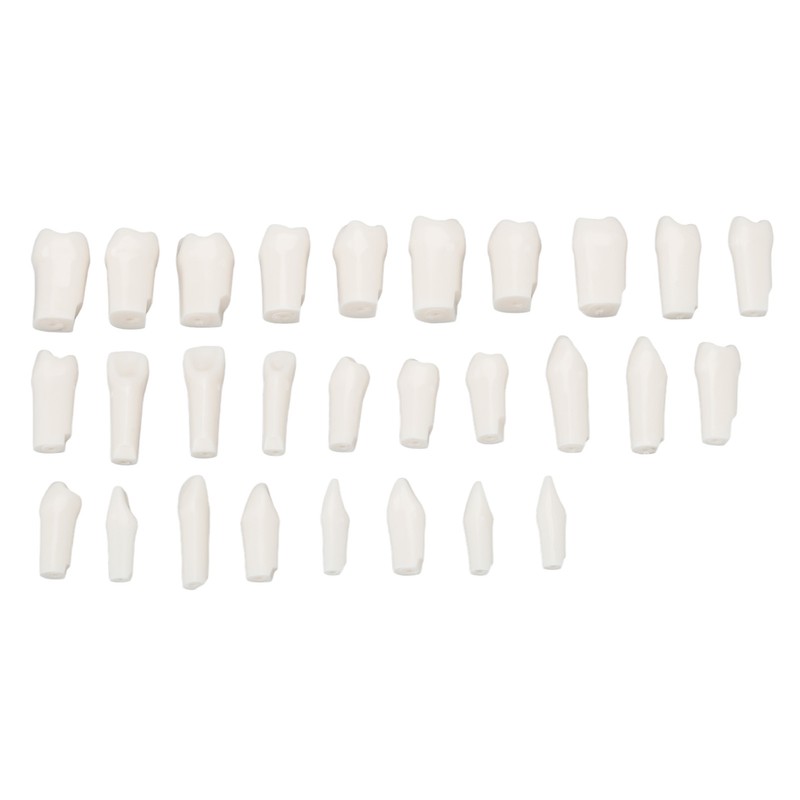 28Pcs Removable Teeth Piece Durable Plastic Removable Design False Teeth