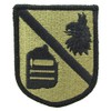 Defense Language Institute OCP Patch - Scorpion W2