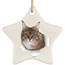 Funny Maine Coon Cat Tabby Coming Out of Cracked Wall Gifts 2024 Christmas Tree Ornaments Ceramic Star