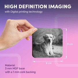 Destination Vinyl ltd Great Coasters (Set of 4) Square - BW - Labrador Retriever Dog Pet Drink Glossy Coasters/Tabletop Protection for Any Table Type #43118