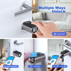 WELOCK Electronic Door Lock with WiFi Box, Electronic Door Lock Front Door for Smart Home, Electric Door Lock with RFID Card and App, IP65 Waterproof Door Lock Smart, Works with Alexa