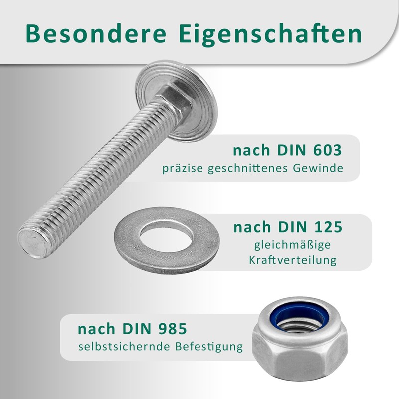 DSM - Carriage Bolts M8 x 30 mm DIN 603