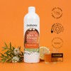 Babaria Shampoo Adultos Y Niños