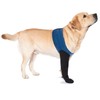 COODEO Dog Socks to Prevent Licking Paws, Dog Healing Boots