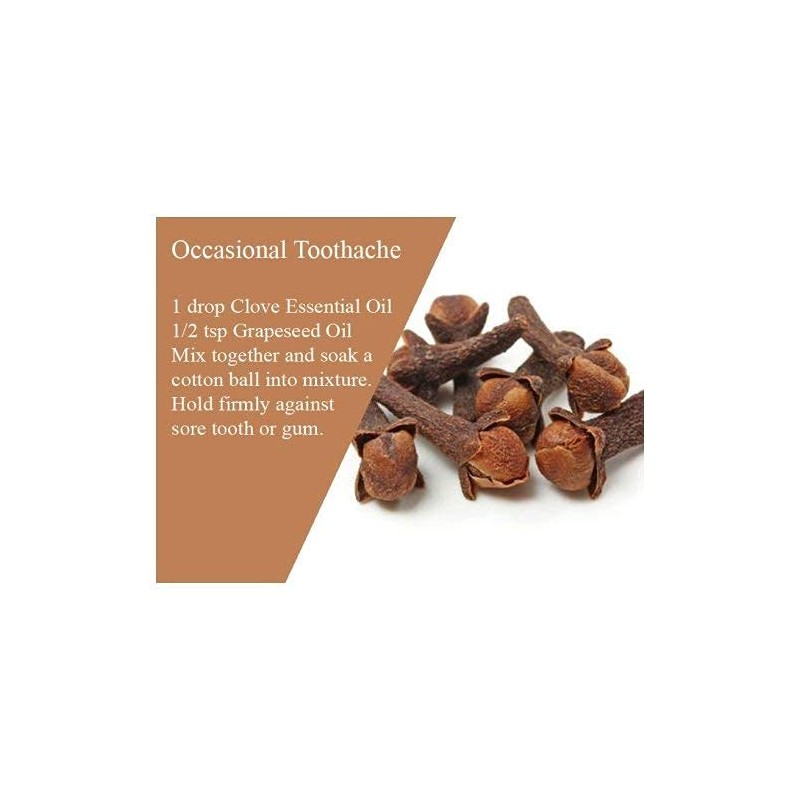 Clove Oil (Syzygium aromaticum) 100% Pure & Natural Undiluted Uncut