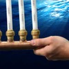 SharkBite 25552LF Manifolds with Push-Fit Branches, 3-Port Open, Brass
