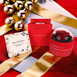 Axvxby Eternal Rose, Infinity Rose Gifts, Rose Box with Preserved Flowers, Gift for Mum, Girlfriend, Women, Mother's Day, Valentine's Day, Preserved Eternal Rose for Birthday, Anniversary (Red)