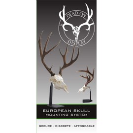 DEAD ON DISPLAY – Desktop Mount- American Made, European Mount Skull Hanger Taxidermy Trophy Mounting Kit Bracket-