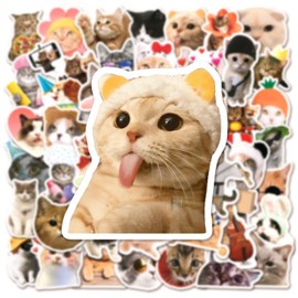 Funny Cat Sticker Set 50 Pieces Cute Decoration for Car Laptop Skateboard Bicycle Moped Motorcycle Bicycle Computer Suitable for Adults Children