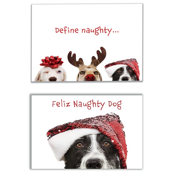 Allynn's 20 Funny Naughty Dog Christmas Cards, Boxed with Envelopes,