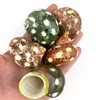 Heyiwell 5PC Spotted Turbo Shells,Hermit Crab Sea Shells 1.5"-2" Inch