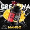Suplemento Creatina + Glutamina Bull Protein 1kg 50servicios