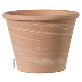 Deroma Cerruti 1881 Made in Italy Duo White Bassam (6.7 inches (17 cm)), Ceramic, Deroman, Unyaked Pot, Gardening, *Italian Terracotta Pot, Planter