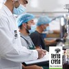 Terra Creta, 100% Koroneiki Variety, Estate Greek Extra Virgin Olive
