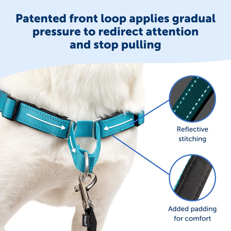 PetSafe Deluxe Easy Walk Dog Harness, Dog Harness for Medium-Size