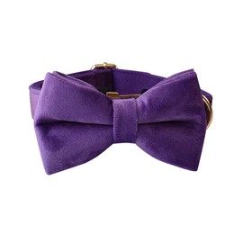 Love Dream Bowtie Dog Collar, Velvet Dog Collars with Detachable Bowtie Metal Buckle, Soft Comfortable Adjustable Bow Tie Collars for Small Medium Large Dogs (Small, Dark Purple)