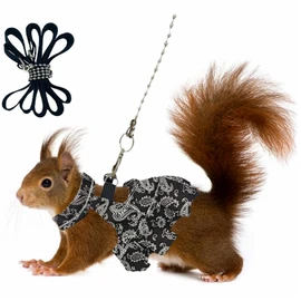 Squirrel Skirt Harness Leash Set Ferret Vest Adjustable Traction Rope Strap Cute Floral Clothes for Small Kitten Animal Dwarf Chinchilla, Guinea Pig, Fancy Rat (Black,M)