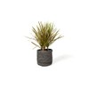 Vintage Design Homewares Asher Jute Basket, Grey, Small