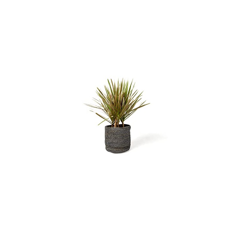 Vintage Design Homewares Asher Jute Basket, Grey, Small