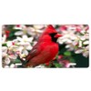 Red Cardinal Front License Plate with Custom Background Options