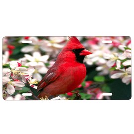 Red Cardinal Front License Plate with Custom Background Options