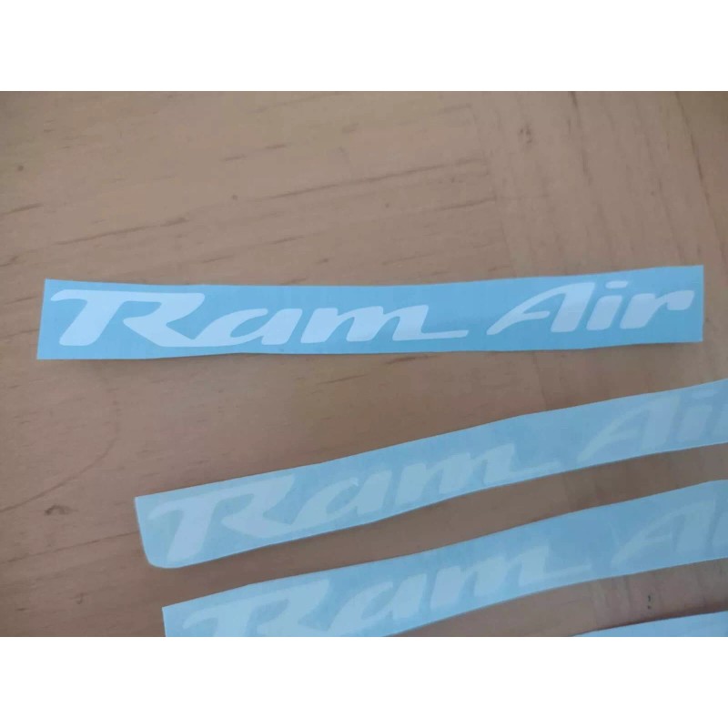 Gunner Graphics 93-02 PONTIAC FIREBIRD TRANS AM WS6 RAM AIR