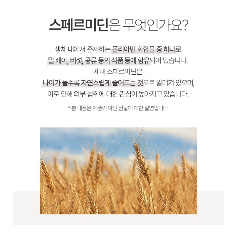 Spermidine efficacy Autophagy yeast spermidine 30 tablets / 스페르미딘 효능