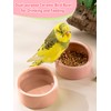 Niwaes 2 Pcs Bird Food Bowl Small Ceramic Bowls for
