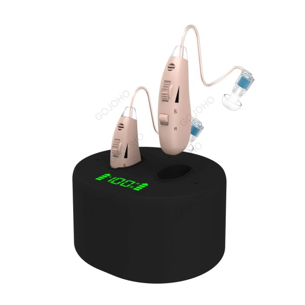Unbranded Digital Hearing Aid Severe Loss Rechargeable BTE Invisible Ear
