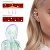 3 Pairs Lymphatic Earrings for Women Rhinestone Hoop Dangle Earrings