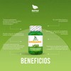 Aceite De Orégano 100 Cápsulas, Calidad Premium