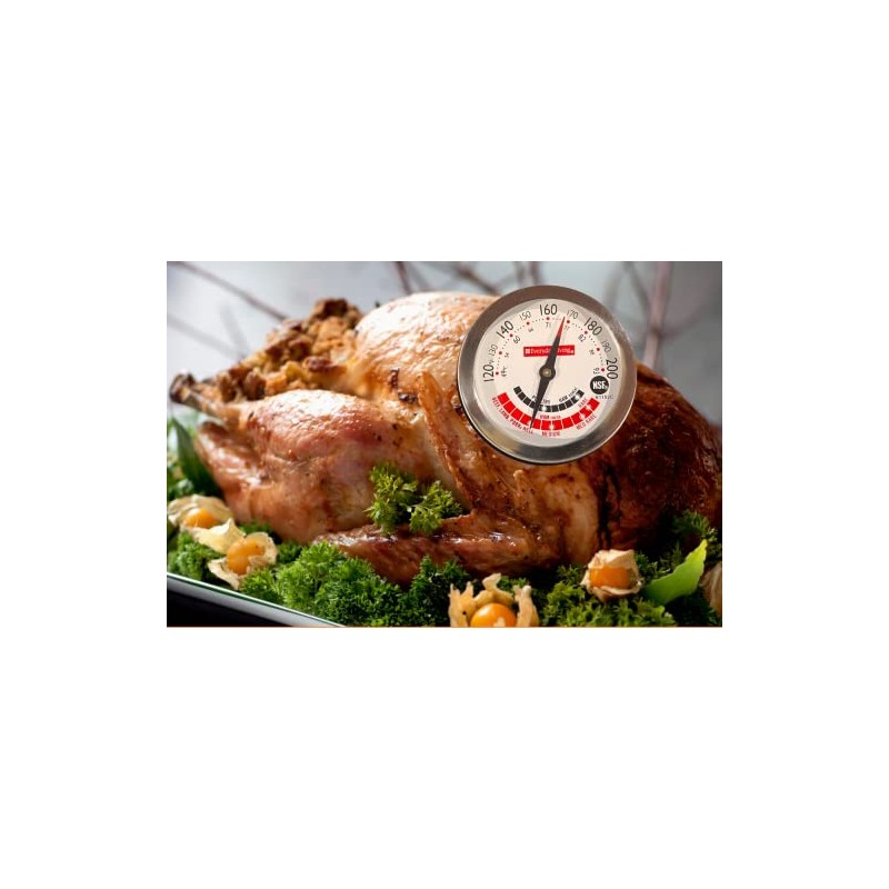 Everday Living Meat Thermometer