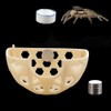 DQITJ Jumping Spider Hidden House Tarantula Enclosure Accessories with Magnet