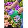 Miracle-Gro Shake 'N Feed Rose & Bloom Plant Food, Plant