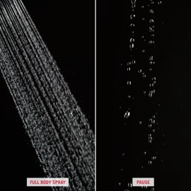 Delta Faucet Single-Spray Touch-Clean Hand Held Shower Head, Chrome 59462-B-PK