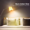 Himalayan Glow Natural Pink Salt LED Light Bulb, Warm Amber