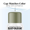 Rust-Oleum Low Odor Premium Spray Paint, 11 oz, Matte In