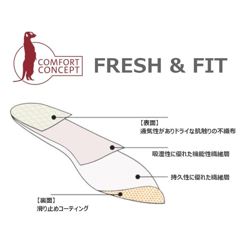 Columbus Comfort CONCEPT Disposable 6 Pairs (12 Pack) Fresh &