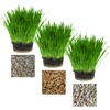 Pet Grass Variety Pack by Cat FurNature
