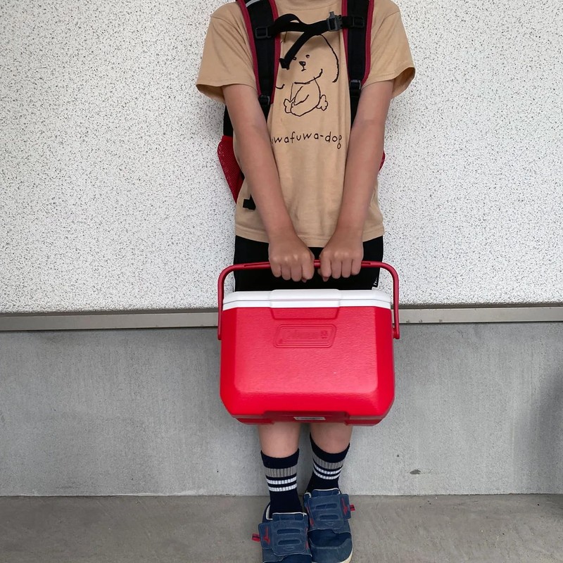 Coleman Take 6 Cooler Box, Red, Capacity: Approx. 1.2 gal