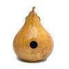 Gourd Birdhouse Natural