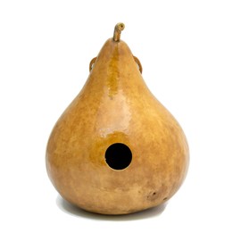 Gourd Birdhouse Natural