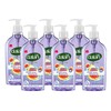 Dalan Smyrna Fig Multicare Ultra Moisturizing Liquid Hand Soap for