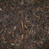 Organic Black tea - Darjeeling (Camellia sinensis) (250g)