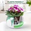 LITUDISO African Violet Pots, 6 Inch Self Watering Pots for