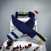 Glen Mila Mens Classic Winter Scarf Cashmere Winter Scarves Long